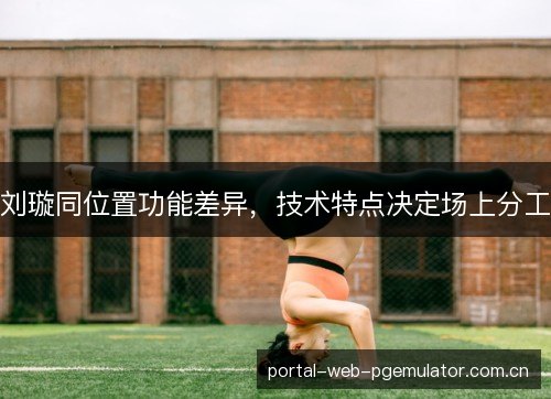 刘璇同位置功能差异，技术特点决定场上分工